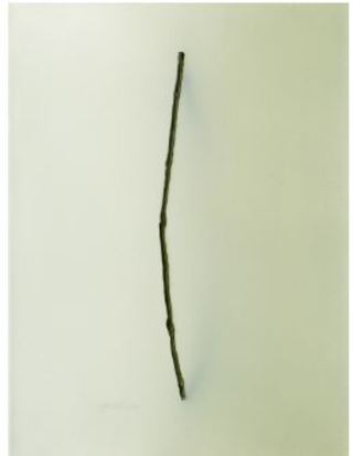 KABEL, 2021, 40 x 30 cm, Öl auf Leinwand, 1400€